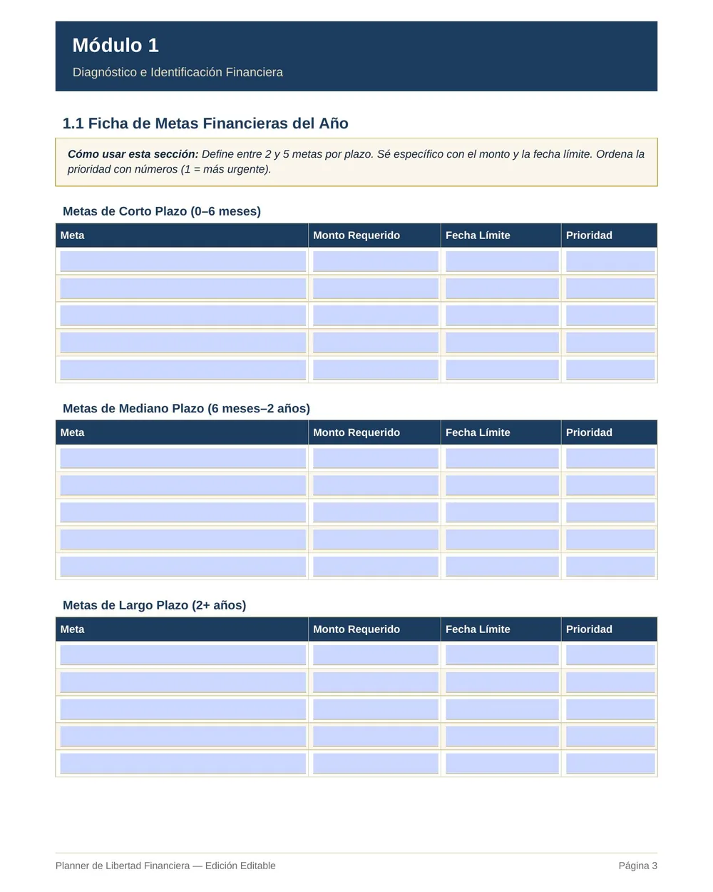 Planner Financiero Editable